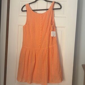 Altar'd State Orange Mini Dress